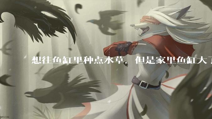 想往鱼缸里种点水草，但是家里鱼缸大了买水草泥或者底砂太贵了，有没有生活中可以替代的物品或其他建议？