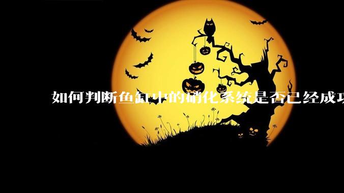 如何判断鱼缸中的硝化系统是否已经成功建立？