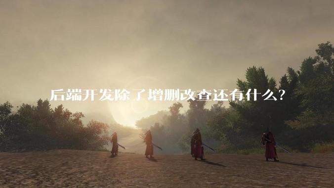 后端开发除了增删改查还有什么？