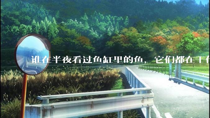 谁在半夜看过鱼缸里的鱼，它们都在干什么？