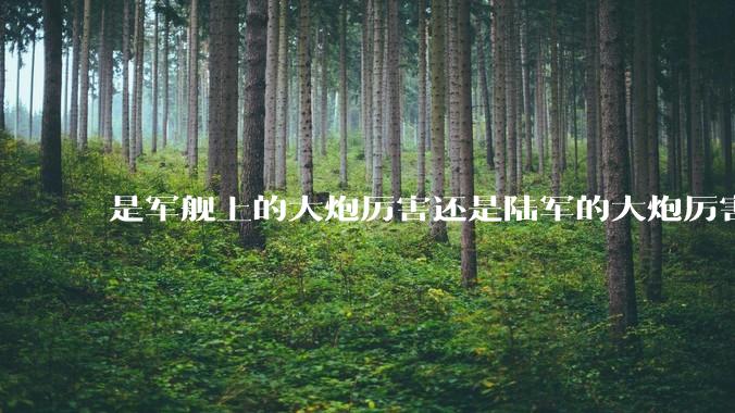 是军舰上的大炮厉害还是陆军的大炮厉害？