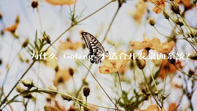 为什么 Golang 不适合开发桌面系统？