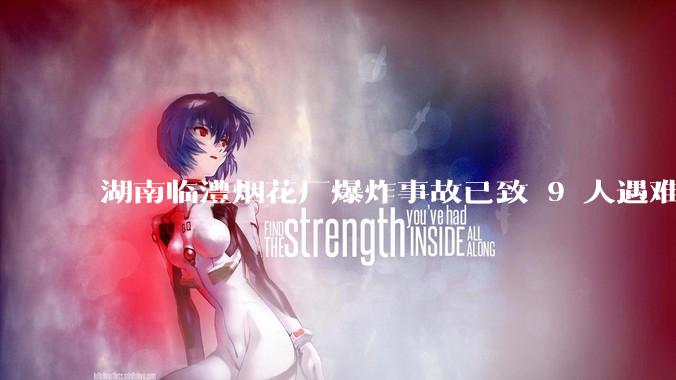 湖南临澧烟花厂爆炸事故已致 9 人遇难 26 人受伤，事故原因可能是什么？厂方要承担哪些法律责任？