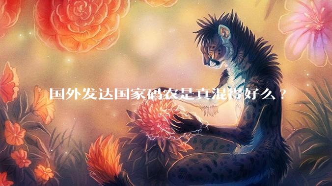 国外发达国家码农是真混得好么?